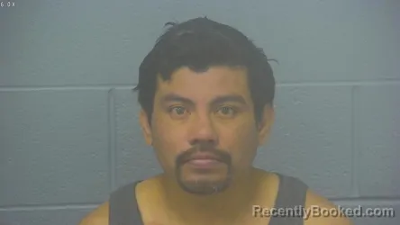 Mugshot of DARWIN ISIDRO CASTELLANOS