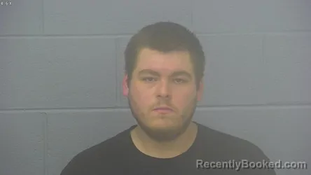 Mugshot of DEVIN WAYNE LEWIS booked in Greene County, Missouri on March 15, 2026