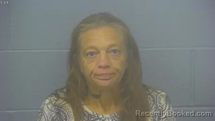 Mugshot of Denise Renee Mcdannald booked in Greene County, Missouri on July 31, 2026
