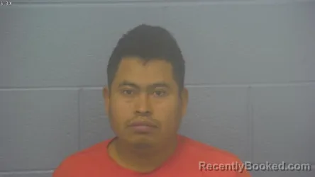 Mugshot of DANIS OBERLY VASQUEZ-ARDIANO