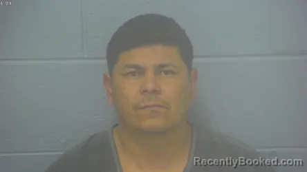Mugshot of EVER ISRAEL ALVARADO SANGRONIS booked in Greene County, Missouri on May 2, 2026