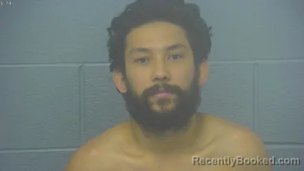 Mugshot of ELYIN ANTONIO CASTILLO GARCIA booked in Greene County, Missouri on May 6, 2026