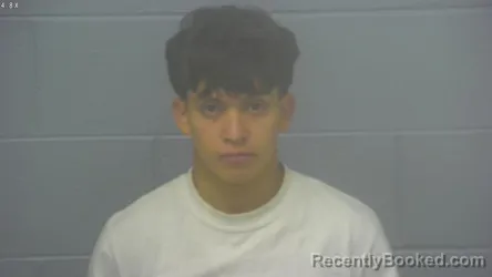 Mugshot of EDILSON NAVARRO booked in Greene County, Missouri on April 1, 2026