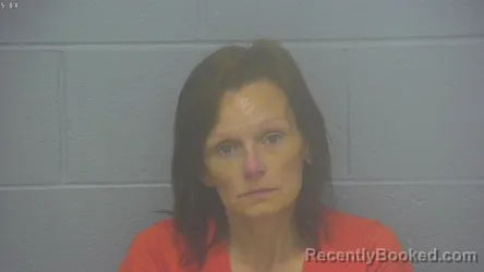 Mugshot of ERIN ELIZABETH RYSER booked in Greene County, Missouri on May 3, 2026