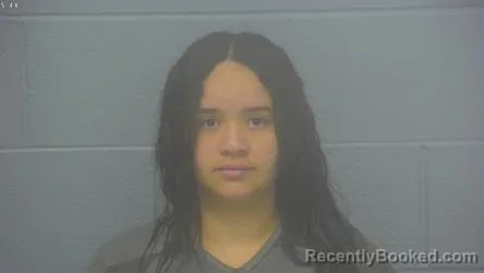 Mugshot of Estefany Daniela Sanchez-Bautista booked in Greene County, Missouri on August 22, 2026