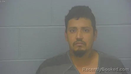 Mugshot of Francisco Delgado Vergara booked in Greene County, Missouri on October 10, 2026