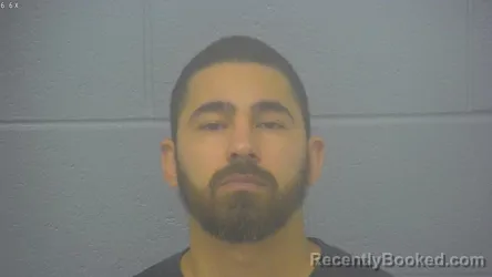 Mugshot of FRANCISCO JAVIER REQUENA TORREALBA