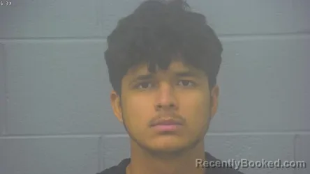 Mugshot of Fernando Enrique Vilchis Sanchez booked in Greene County, Missouri on October 15, 2026