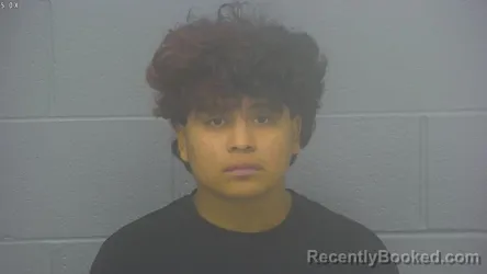 Mugshot of GERMAN ALEXANDER CHEN-XITUMUL booked in Greene County, Missouri on May 16, 2026
