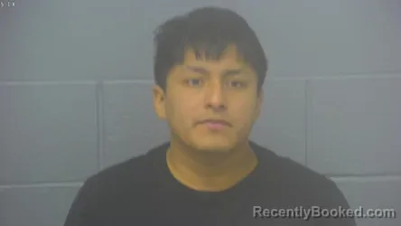 Mugshot of GREDY GALLARDO FISCAL booked in Greene County, Missouri on March 12, 2026