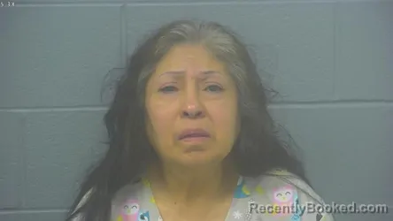 Mugshot of Guadalupe Morena Rich