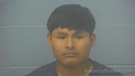 Mugshot of HENRY FREDY CHUB-COC booked in Greene County, Missouri on March 27, 2026