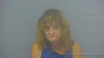 Mugshot of Holly Lyn Christerson booked in Greene County, Missouri on August 4, 2026