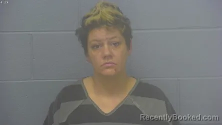 Mugshot of HOLLY ANN HILL booked in Greene County, Missouri on March 27, 2026