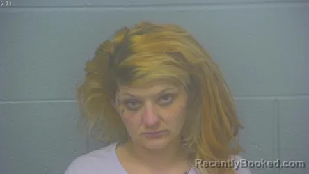 Mugshot of HANNAH NICHOLE MOSIER