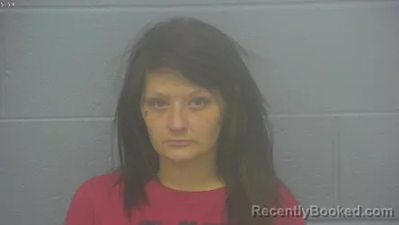 Mugshot of HANNAH NICHOLE MOSIER booked in Greene County, Missouri on March 28, 2026