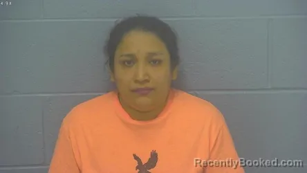 Mugshot of INGRIS MENDEZ-LUCAS booked in Greene County, Missouri on March 13, 2026