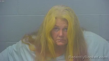 Mugshot of Julie Ann Barnes booked in Greene County, Missouri on October 19, 2026