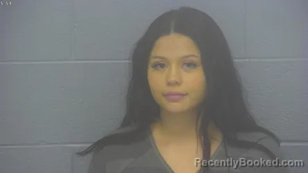 Mugshot of JAYLIN CONTRERAS SALGUERO booked in Greene County, Missouri on May 22, 2026