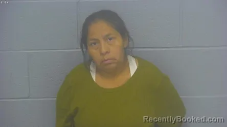 Mugshot of JUDITH ETELVINA CANCINOS-GUINAC booked in Greene County, Missouri on June 10, 2026