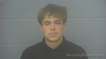 Mugshot of JAMES LYNN DAVIDSON booked in Greene County, Missouri on March 20, 2026