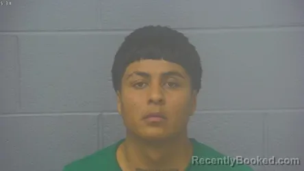 Mugshot of Jesus Aaron Delgado Pesina booked in Greene County, Missouri on August 8, 2026