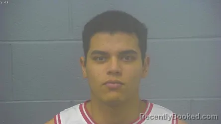 Mugshot of JOHEL ALEJANDRO FLORES-FLORES booked in Greene County, Missouri on May 15, 2026