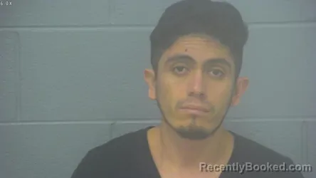 Booking photo from Greene County, Missouri