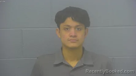 Mugshot of JUNIOR ALEXANDER HERNANDEZ-NUNEZ booked in Greene County, Missouri on March 12, 2026