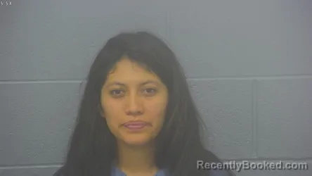 Mugshot of JAQUELINE ESTEFANI LOPEZ-LUCAS booked in Greene County, Missouri on March 17, 2026