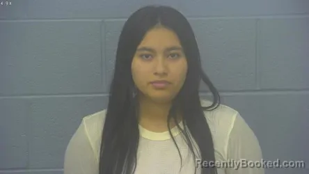 Mugshot of JEIMY DAYAN RODRIGUEZ HORMAZA booked in Greene County, Missouri on March 16, 2026