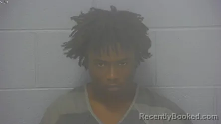 Mugshot of Jamadra Emonte Williams booked in Greene County, Missouri on September 19, 2026