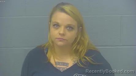 Mugshot of JAMIE ELAINE WILSON
