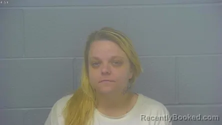 Mugshot of JAMIE ELAINE WILSON booked in Greene County, Missouri on June 3, 2026