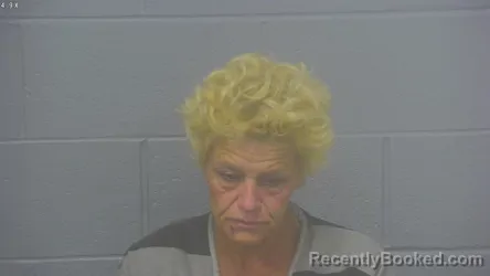 Mugshot of Kelley Dawn Cole-Wilcox booked in Greene County, Missouri on October 12, 2026