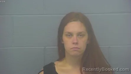 Mugshot of KAYLA MARIE PIPPIN booked in Greene County, Missouri on May 19, 2026