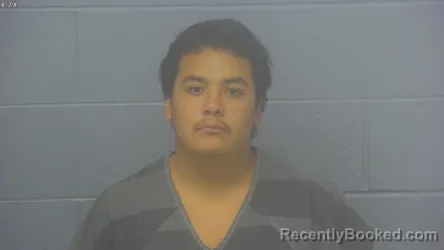 Mugshot of Luis Fernando Vilches Martinez