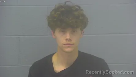 Booking photo from Greene County, Missouri