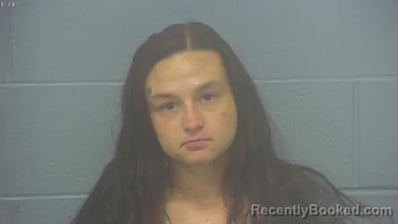 Mugshot of LURENA FAYE JENKINS