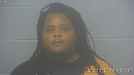 Mugshot of LANDERS PAGE