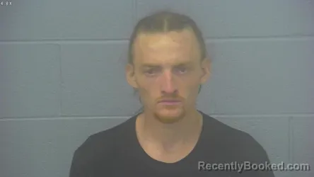 Mugshot of LIAM THOMAS VITALE booked in Greene County, Missouri on March 25, 2026