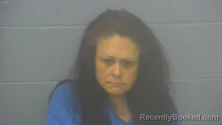 Mugshot of MICHELLE RENE ALSUP