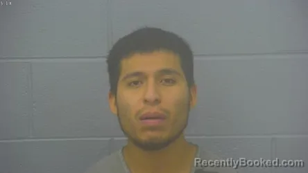 Mugshot of MANUEL E GARCIA-FLORES