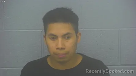 Mugshot of MERLIN ALEXANDER GOMEZ-RAMOS booked in Greene County, Missouri on March 20, 2026