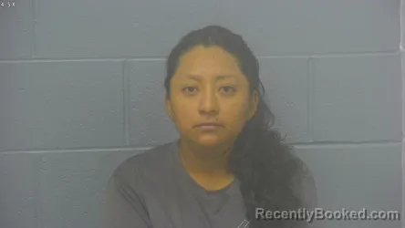 Mugshot of Maria Del Rosario Garcia-Capriel booked in Greene County, Missouri on August 4, 2026