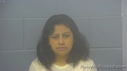 Mugshot of MARIA LIDIA VALLE-HERNANDEZ booked in Greene County, Missouri on May 15, 2026
