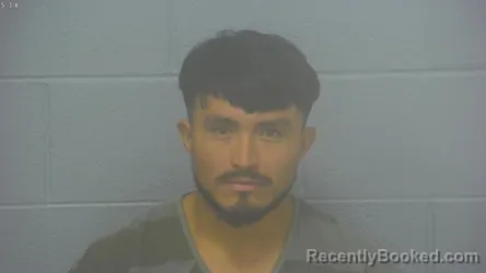 Mugshot of Nelson Danilo Vasquez Orellana booked in Greene County, Missouri on October 6, 2026