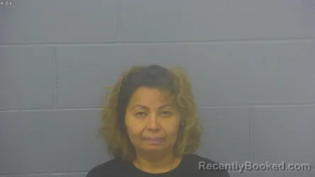 Mugshot of Olga Elizabeth Herrera Dominguez booked in Greene County, Missouri on October 20, 2026