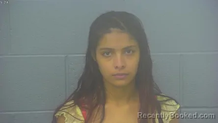 Mugshot of PATRICIA SUSELY HERNANDEZ-CASTILLO booked in Greene County, Missouri on March 18, 2026