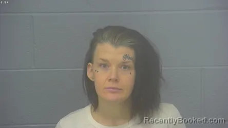 Mugshot of PAMELA SUE STANDFIELD booked in Greene County, Missouri on March 26, 2026